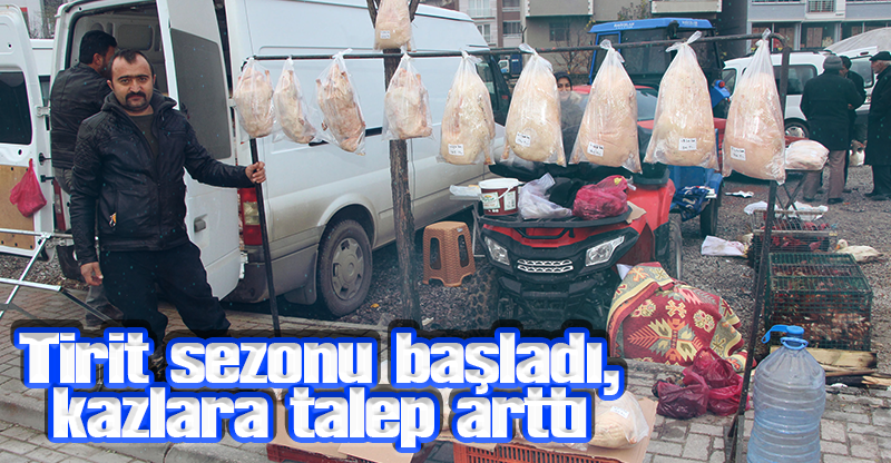 Tirit sezonu başladı, kazlara talep arttı