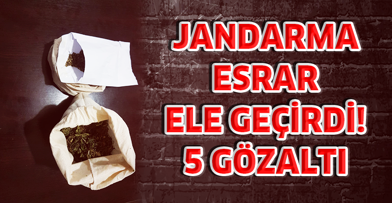 JANDARMA ESRAR ELE GEÇİRDİ: 5 GÖZALTI