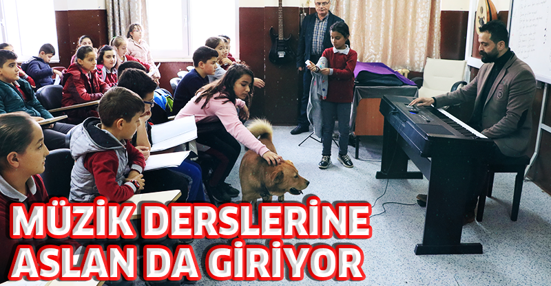 MÜZİK DERSLERİNE ASLAN DA GİRİYOR