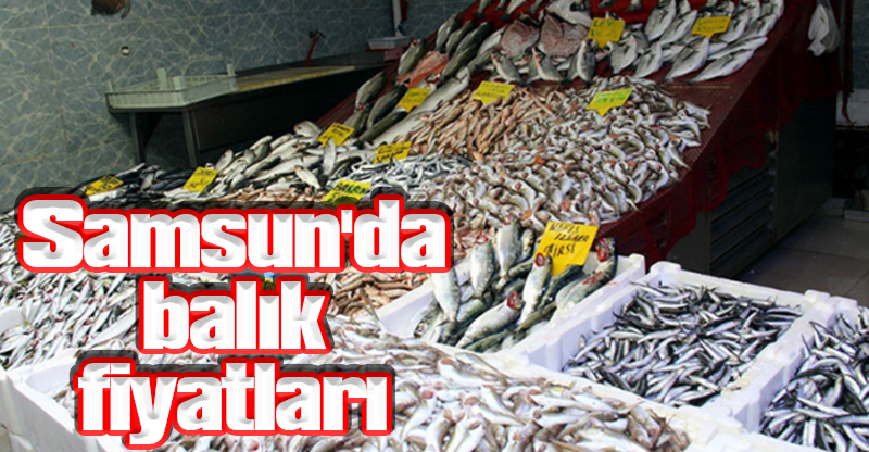 Samsun'da balık fiyatları
