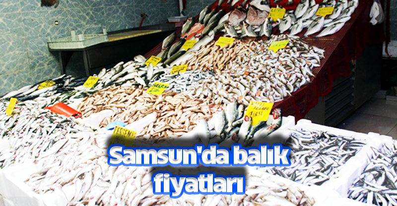 Samsun'da balık fiyatları