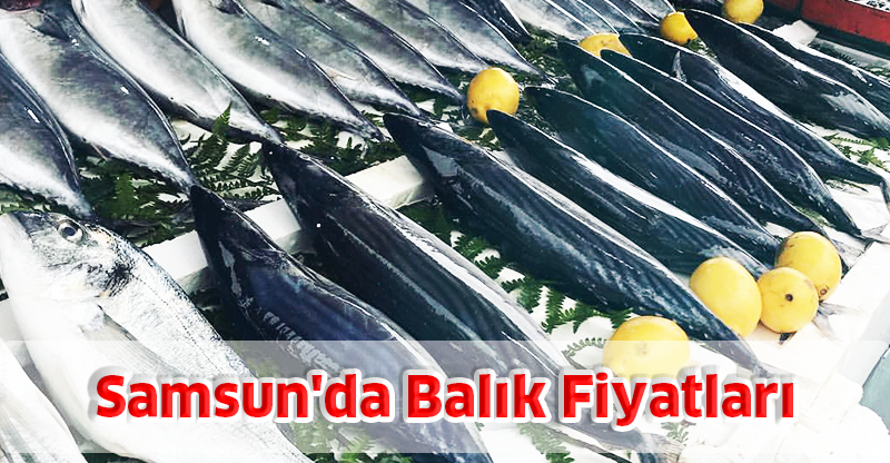Samsun'da Balık Fiyatları