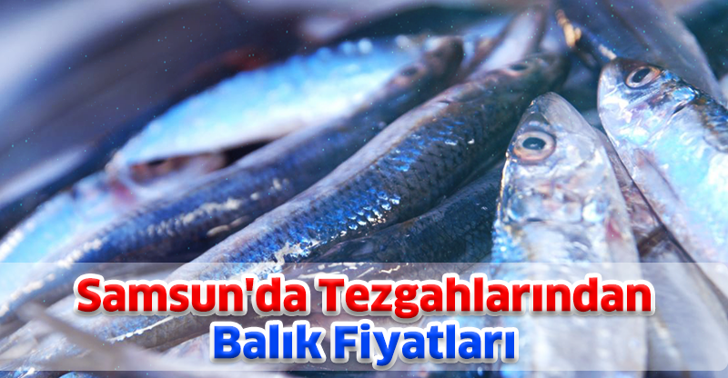 Samsun'da Tezgahlarından Balık Fiyatları
