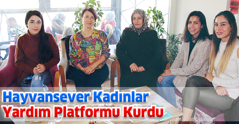 Hayvansever Kadınlar Yardım Platformu Kurdu