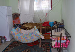 Odunlukta yaşam savaşı