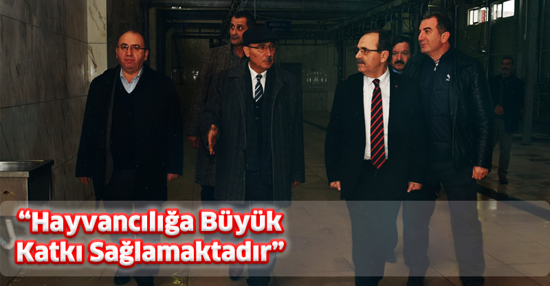 “Hayvancılığa Büyük Katkı Sağlamaktadır”