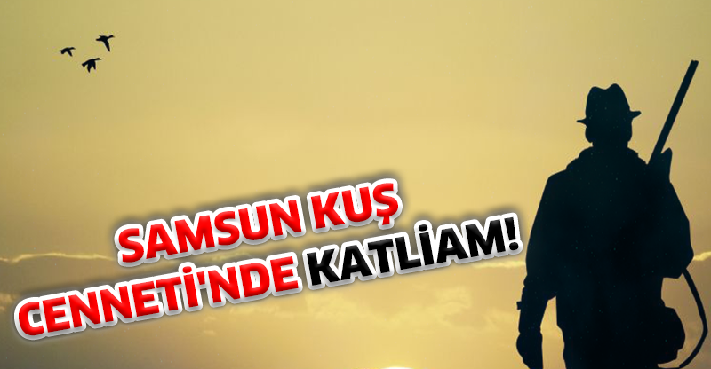 SAMSUN KUŞ CENNETİ'NDE KATLİAM!