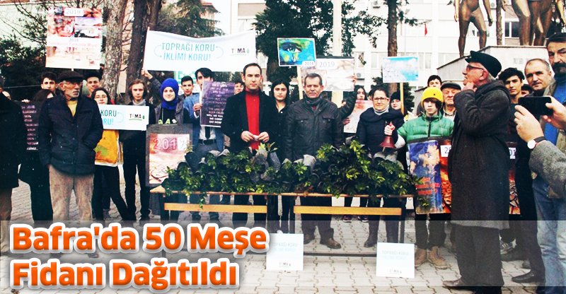 Bafra'da 50 Meşe Fidanı Dağıtıldı