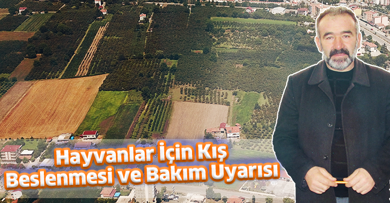 Hayvanlar İçin Kış Beslenmesi ve Bakım Uyarısı