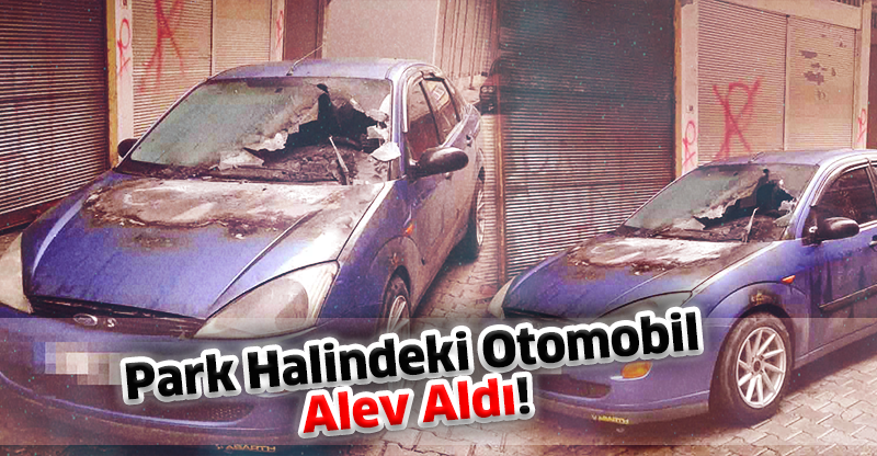 Park Halindeki Otomobil Alev Aldı