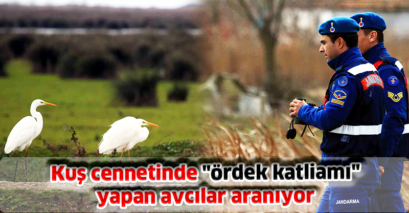 Kuş cennetinde "ördek katliamı" yapan avcılar aranıyor