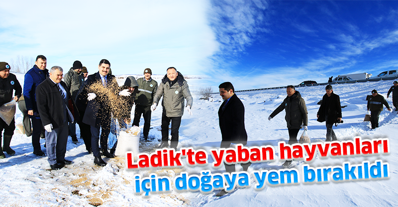 Ladik'te yaban hayvanları için doğaya yem bırakıldı