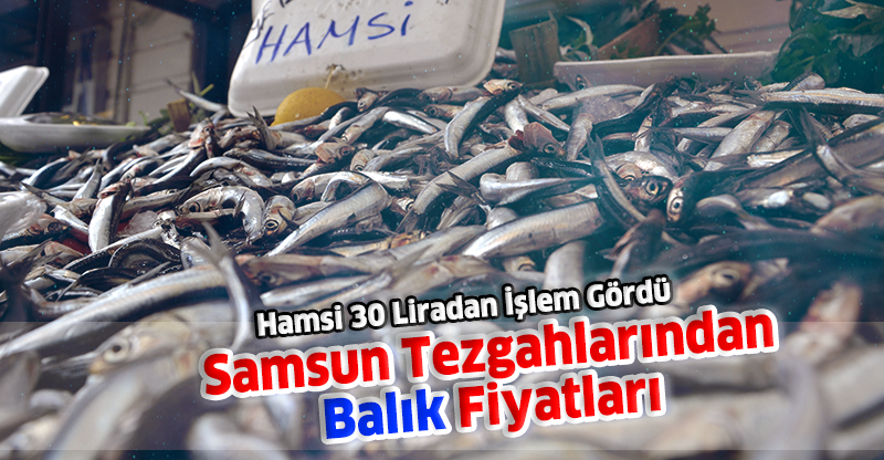 Samsun Tezgahlarından Balık Fiyatları