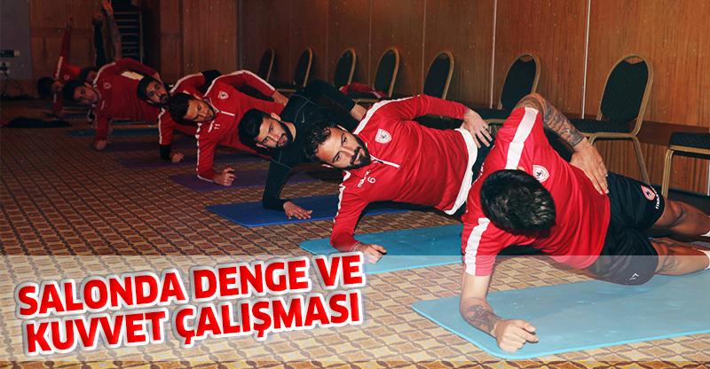 DENGE VE KUVVET ÇALIŞMASI