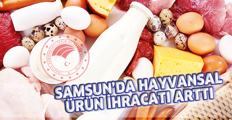 Samsun’da Hayvansal Ürün İhracatı Arttı