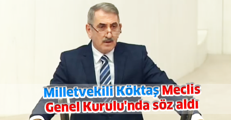 Milletvekili Köktaş Meclis Genel Kurulu'nda söz aldı