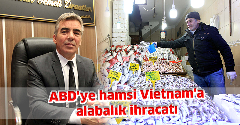 ABD'ye hamsi Vietnam'a alabalık ihracatı