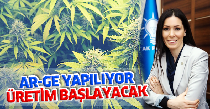 AR-GE YAPILIYOR ÜRETİM BAŞLAYACAK
