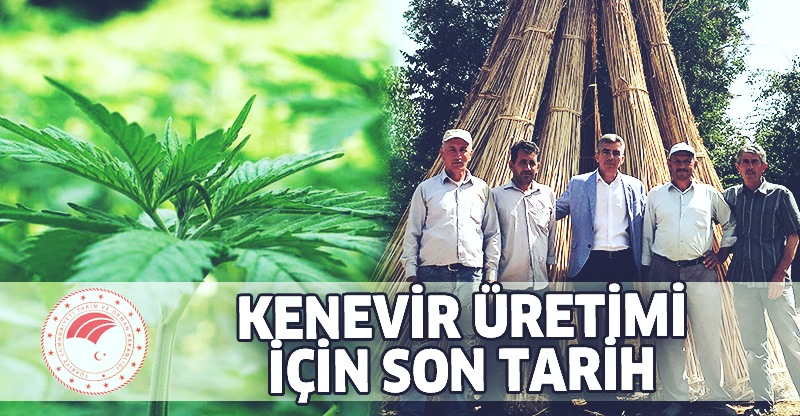 Kenevir Üretimi İçin Son Tarih