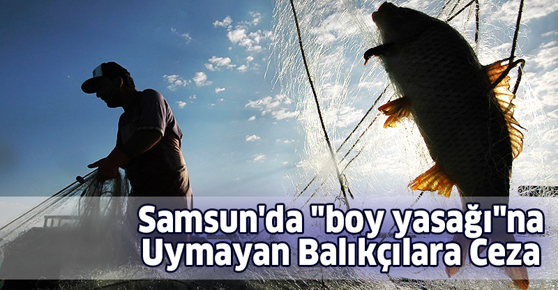 Samsun'da "boy yasağı"na Uymayan Balıkçılara Ceza