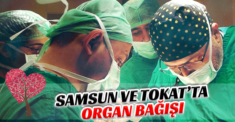 Samsun ve Tokat'ta Organ Bağışı