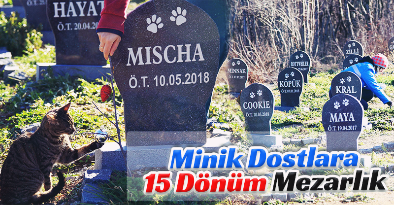 Minik Dostlara 15 Dönüm Mezarlık