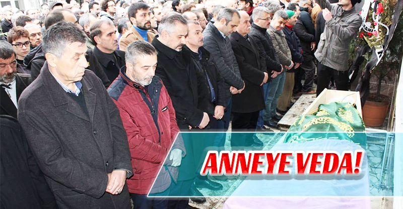 ANNEYE VEDA!