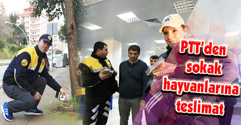 PTT çalışanlarından sokak hayvanlarına teslimat