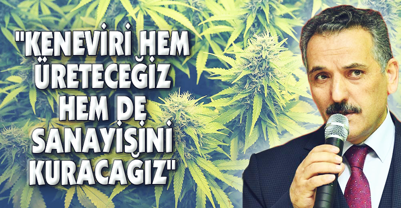 'KENEVİRİ HEM ÜRETECEĞİZ HEM DE SANAYİSİNİ KURACAĞIZ'