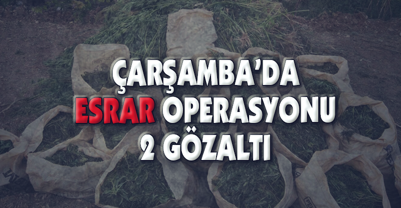 ÇARŞAMBA’DA ESRAR OPERASYONU: 2 GÖZALTI