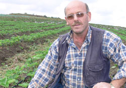 Üretici alternatif ürün peşinde