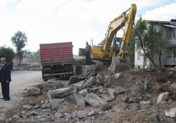 Yaşanabilir bir Kavak