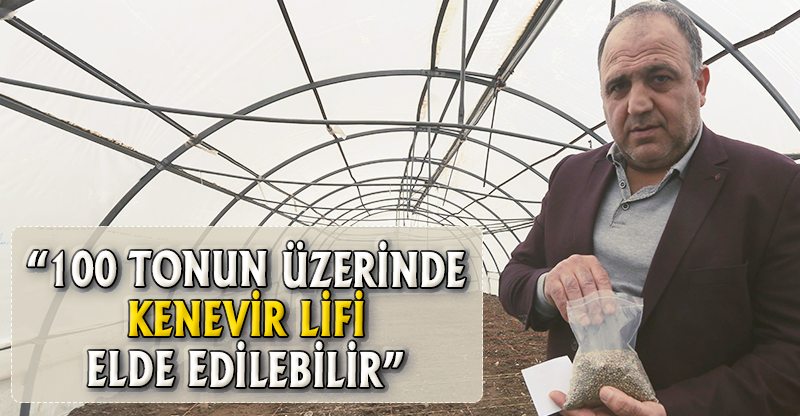 “100 TONUN ÜZERİNDE KENEVİR LİFİ ELDE EDİLEBİLİR”