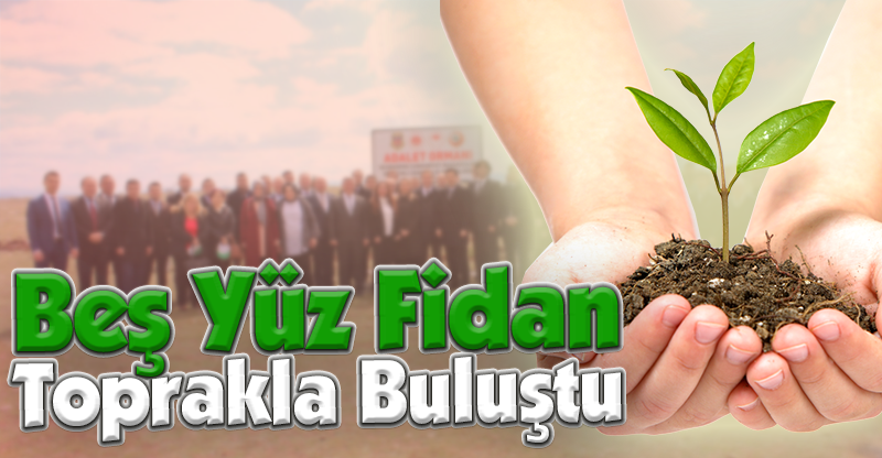 Beş Yüz Fidan Toprakla Buluştu