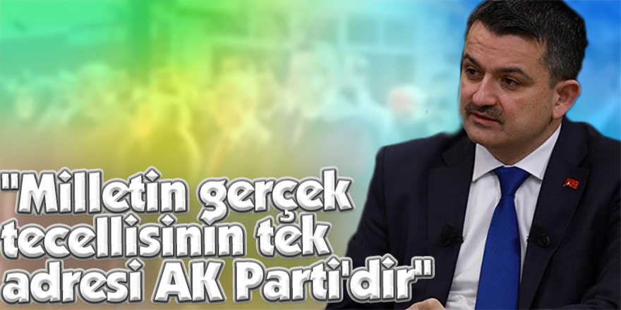 "Milletin gerçek tecellisinin tek adresi AK Parti'dir"