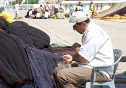 Denizde umut, hamside