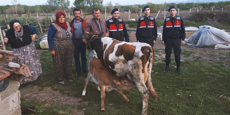 SAMSUN'DA BÜYÜKBAŞ HAYVAN HIRSIZLIĞI İDDİASI