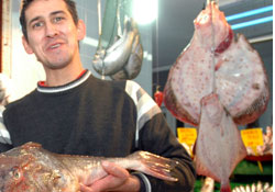 Balıkçı tezgahları şenlendi