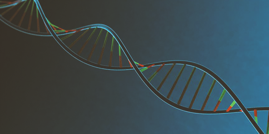 İNSAN DNA'SININ MÜZİĞİ NOTALARA DÖKÜLDÜ