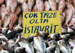 Beklentiler devam ediyor