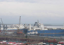 Samsun 285 hektar genişledi