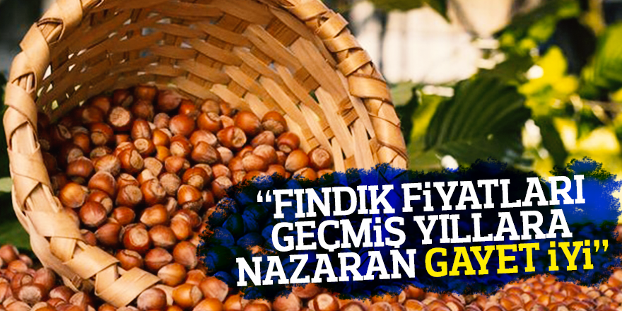 'FINDIK FİYATLARI GEÇMİŞ YILLARA NAZARAN GAYET İYİ'