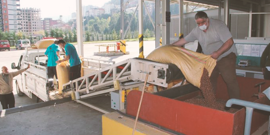 FINDIK 16 TL'DEN ALINMAYA BAŞLANDI