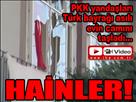 Hainler Van'da Türk bayrağı taşladılar