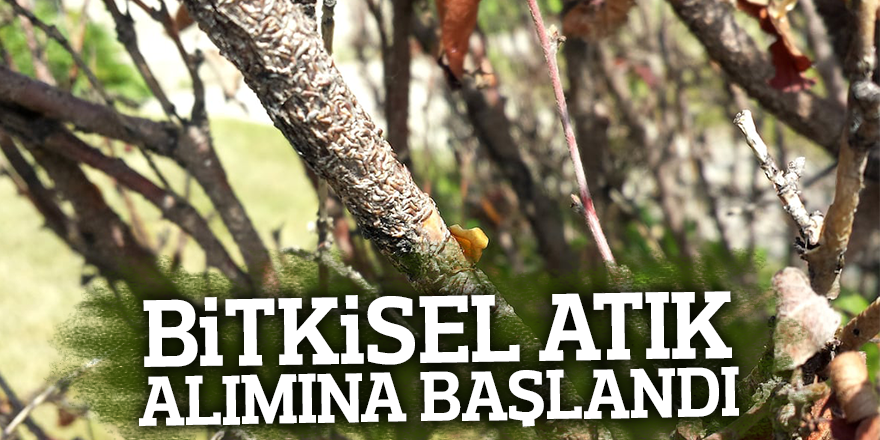 BiTKiSEL ATIK ALIMINA BAŞLANDI