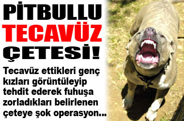 Pitbullu tecavüz çetesine darbe...