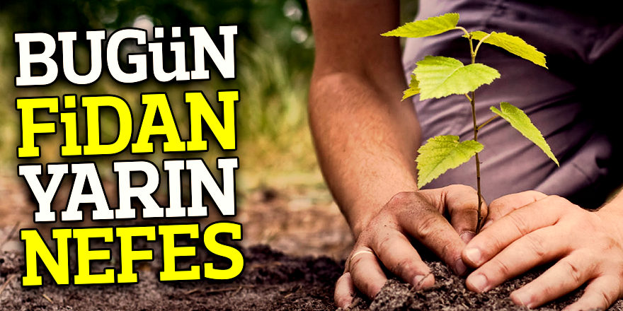 BUGÜN FİDAN YARIN NEFES