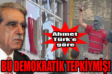 Bu demokratik tepkiymiş!