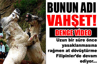 Bu bir vahşet! ....