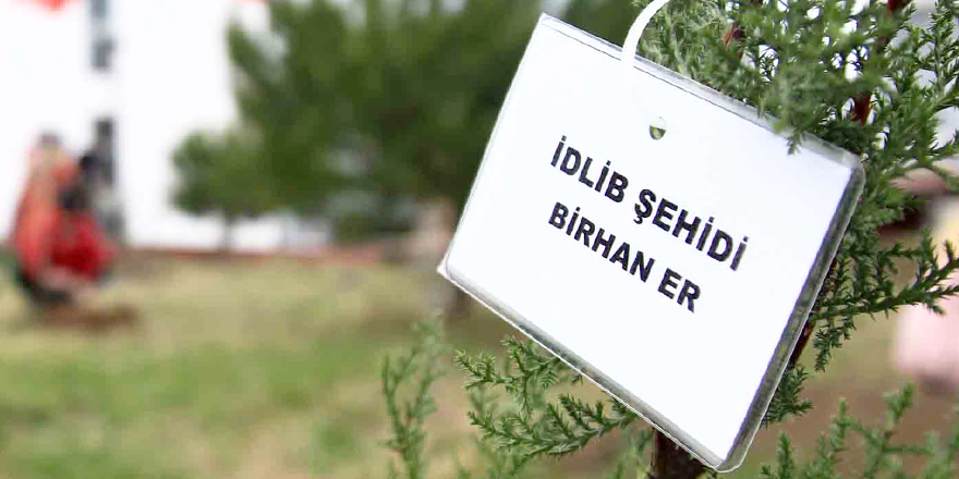 ÖĞRENCİLER ŞEHİTLERİN ANISINA FİDAN DİKTİ